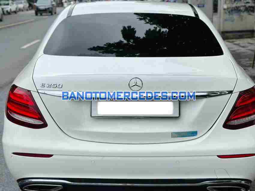 Cần bán xe Mercedes Benz E class E250 đời 2017