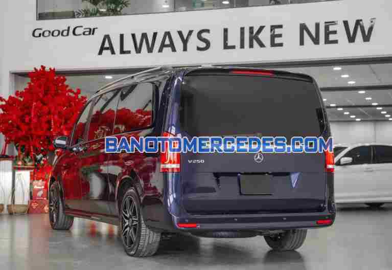 Cần bán gấp Mercedes Benz V class V250 AMG 2021 - Xe đẹp - Giá tốt