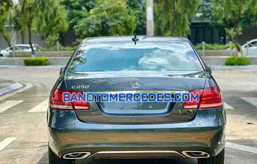 Cần bán gấp Mercedes Benz E class E250 năm 2013 giá cực tốt