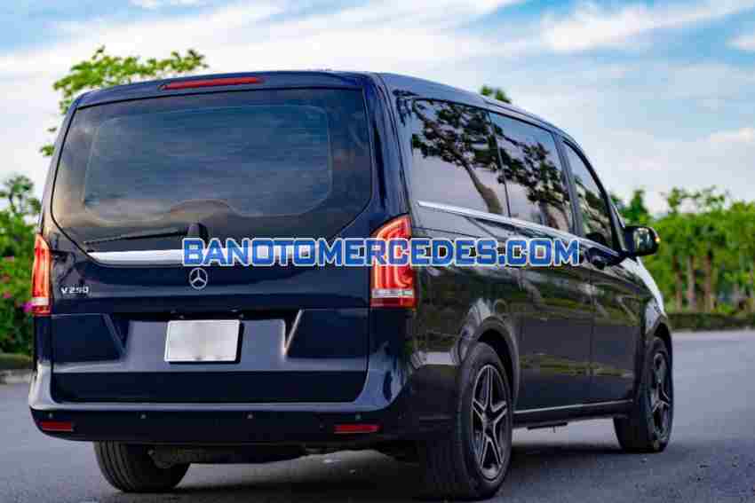 Bán xe Mercedes Benz V class V250 Luxury đời 2020 - Giá tốt