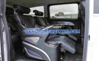Mercedes Benz V class V250 Luxury 2020 giá cực tốt