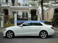 Bán xe Mercedes Benz E class E250 đời 2017 - Giá tốt