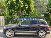 Cần bán Mercedes Benz GLK Class GLK300 4Matic 2010 xe đẹp