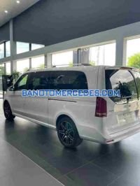 Mercedes Benz V class V250 AMG sx 2024 Máy xăng