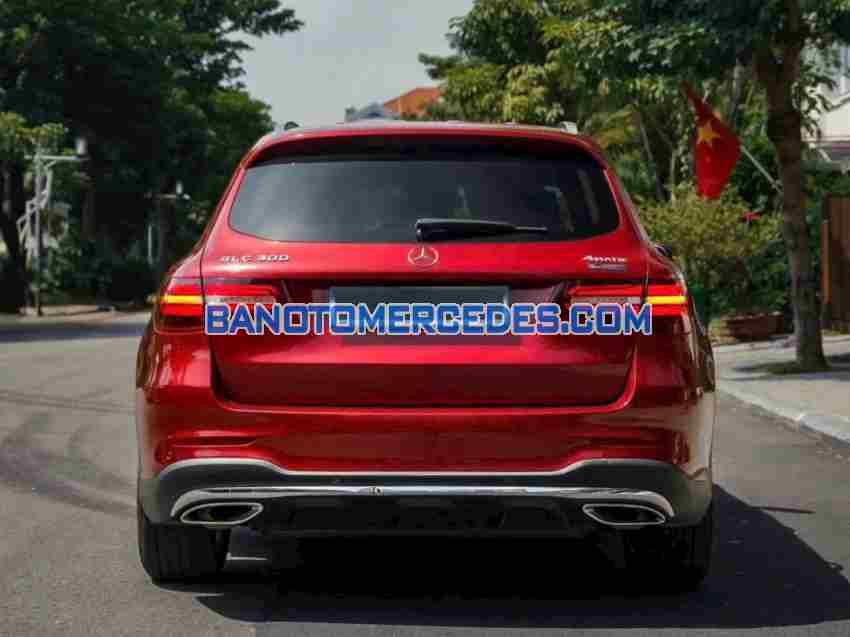 Mercedes Benz GLC 300 4Matic 2019 - Giá tốt