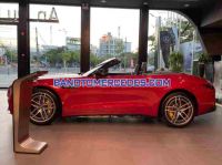 Mercedes Benz SL class SL 43 AMG sx 2023 mới kính kong