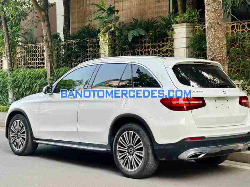 Mercedes Benz GLC 250 4Matic năm 2019 cần bán