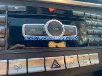 Cần bán Mercedes Benz E class E250 2014 - Số tự động