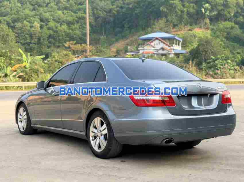 Cần bán gấp xe Mercedes Benz E class E250 2010 màu Bạc