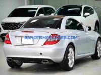 Cần bán xe Mercedes Benz SLK class SLK 350 màu Bạc 2009