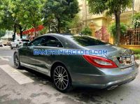 Mercedes Benz CLS class CLS 350 AMG 2013 - Giá tốt